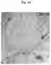 Fig. 10 - METHODS AND COMPOSITIONS FOR MITOCHONDRIAL REPLACEMENT THERAPY