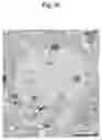 Fig. 12 - METHODS AND COMPOSITIONS FOR MITOCHONDRIAL REPLACEMENT THERAPY
