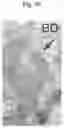 Fig. 28 - METHODS AND COMPOSITIONS FOR MITOCHONDRIAL REPLACEMENT THERAPY