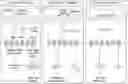 Fig. 01 - METHOD FOR THE TREATMENT OF BETA-THALASSEMIA