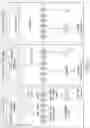 Fig. 02 - METHOD FOR THE TREATMENT OF BETA-THALASSEMIA