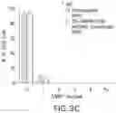 Fig. 06 - METHOD FOR THE TREATMENT OF BETA-THALASSEMIA