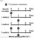 Fig. 02 - Method for producing myeloid-derived suppressor cells, myeloid-derived suppressor cells produced thereby, and methods thereof