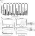 Fig. 02 - CMV EPITOPES