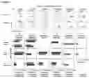 Fig. 04 - CMV EPITOPES