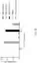 Fig. 34 - METHODS OF ISOLATING T CELLS HAVING ANTIGENIC SPECIFICITY FOR A P53 CANCER-SPECIFIC MUTATION