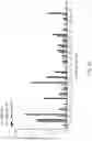 Fig. 41 - METHODS OF ISOLATING T CELLS HAVING ANTIGENIC SPECIFICITY FOR A P53 CANCER-SPECIFIC MUTATION