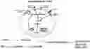 Fig. 01 - METHODS OF PRODUCING T CELL POPULATIONS USING P38 MAPK INHIBITORS