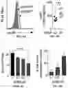 Fig. 06 - METHODS OF PRODUCING T CELL POPULATIONS USING P38 MAPK INHIBITORS