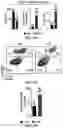 Fig. 09 - METHODS OF PRODUCING T CELL POPULATIONS USING P38 MAPK INHIBITORS
