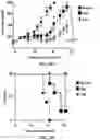 Fig. 22 - METHODS OF PRODUCING T CELL POPULATIONS USING P38 MAPK INHIBITORS