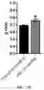 Fig. 85 - Compositions and methods for Williams Syndrome (WS) therapy