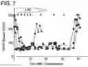 Fig. 08 - Biological Scaffold Comprising Therapeutic Cells
