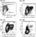 Fig. 35 - Methods of producing pancreatic hormones