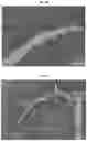 Fig. 09 - Compositions and methods for management of atrophic gastritis and colitis