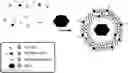Fig. 01 - Synthetically enveloped virus