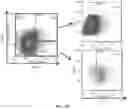 Fig. 07 - Compositions and methods related to xCT peptides