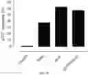 Fig. 10 - Compositions and methods related to xCT peptides
