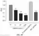 Fig. 12 - Compositions and methods related to xCT peptides