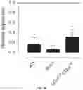 Fig. 15 - Compositions and methods related to xCT peptides