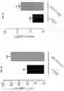 Fig. 18 - Compositions and methods related to xCT peptides