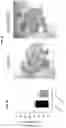 Fig. 33 - Compositions and methods related to xCT peptides