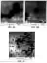 Fig. 04 - Method of synthesizing custard apple peel nanoparticles