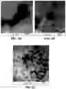 Fig. 04 - Method of synthesizing custard apple peel nanoparticles