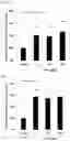 Fig. 04 - Preventive and/or therapeutic agent for osteogenesis imperfecta and other diseases