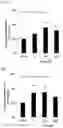 Fig. 05 - Preventive and/or therapeutic agent for osteogenesis imperfecta and other diseases
