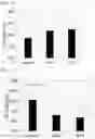 Fig. 09 - Preventive and/or therapeutic agent for osteogenesis imperfecta and other diseases