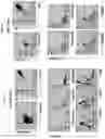 Fig. 22 - Methods and compositions for treatment of Gaucher Disease via modulation of C5a receptor