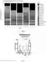 Fig. 07 - MATURATION OF MUCOSAL DEFENSE AND GUT/LUNG FUNCTION IN THE PRETERM INFANT