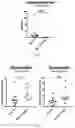 Fig. 08 - MATURATION OF MUCOSAL DEFENSE AND GUT/LUNG FUNCTION IN THE PRETERM INFANT