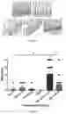 Fig. 35 - MATURATION OF MUCOSAL DEFENSE AND GUT/LUNG FUNCTION IN THE PRETERM INFANT