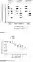 Fig. 37 - MATURATION OF MUCOSAL DEFENSE AND GUT/LUNG FUNCTION IN THE PRETERM INFANT