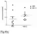 Fig. 41 - MATURATION OF MUCOSAL DEFENSE AND GUT/LUNG FUNCTION IN THE PRETERM INFANT