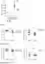 Fig. 43 - MATURATION OF MUCOSAL DEFENSE AND GUT/LUNG FUNCTION IN THE PRETERM INFANT