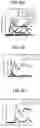 Fig. 07 - Peptide conjugated particles