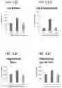 Fig. 16 - Peptide conjugated particles