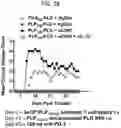 Fig. 25 - Peptide conjugated particles