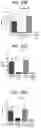 Fig. 27 - Peptide conjugated particles