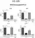 Fig. 32 - Peptide conjugated particles