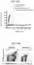 Fig. 34 - Peptide conjugated particles