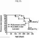 Fig. 35 - Peptide conjugated particles