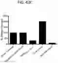 Fig. 55 - Peptide conjugated particles