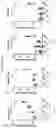Fig. 09 - Multi-subunit vaccines to elicit both MHC- and CD1-restricted T cell responses