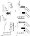 Fig. 32 - Multi-subunit vaccines to elicit both MHC- and CD1-restricted T cell responses