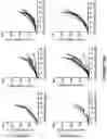 Fig. 22 - Recombinant MVA or MVAΔE3L expressing human FLT3L and use thereof as immuno-therapeutic agents against solid tumors