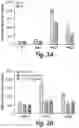 Fig. 06 - Cell-penetrating peptides for antisense delivery